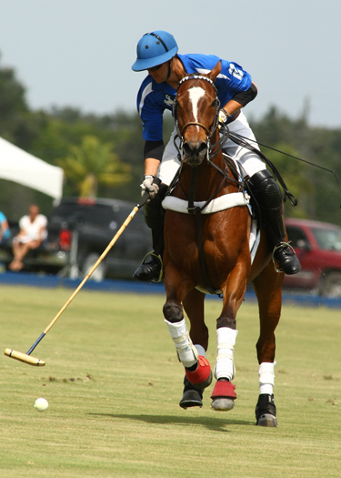polo magazine top 12 goal polo tournament polo top alex pacheco polo club international 2