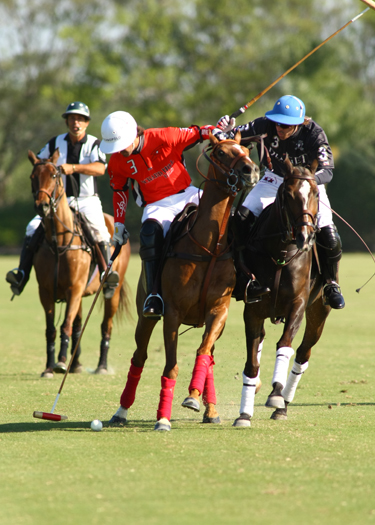 polotoppolotournamentalexpaceheco photos orchardhill polo team piaget 6