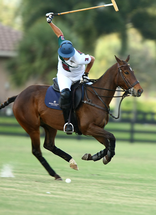 USPA National 20goalPalm Beach EquineCasablanca Photos by Alex Pacheco 3
