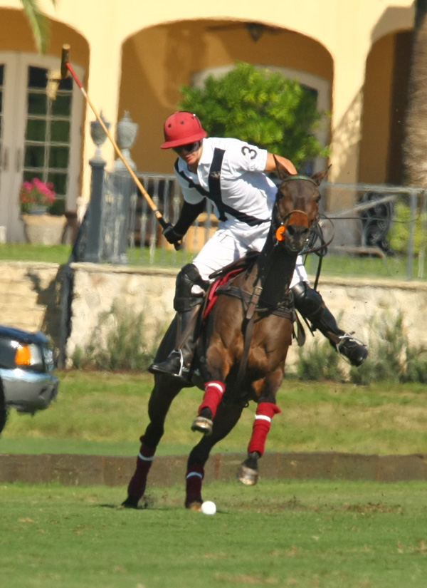 gossecreekpoloteamhawkhillpoloteampolomagazinepachecophotosgcpoloclub 11