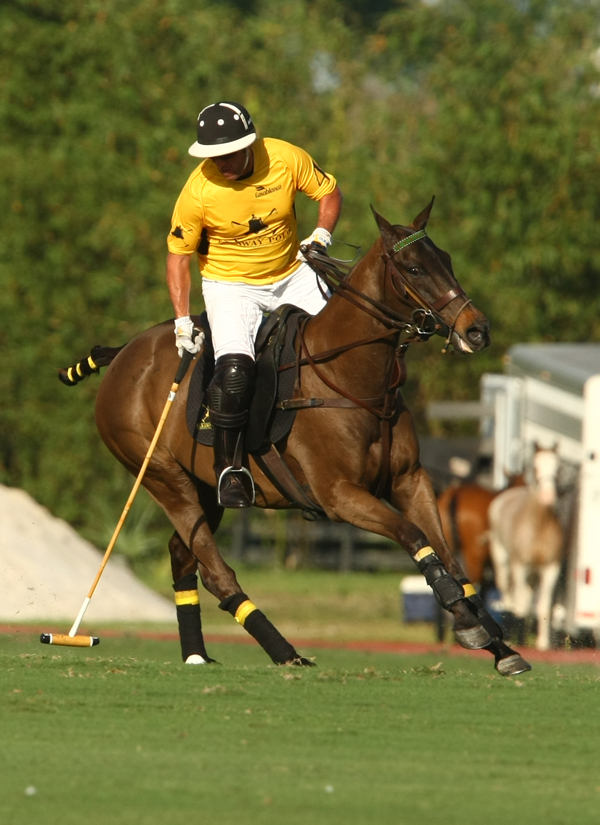 joebarrypolotournamentmemorialpolocuppolomagazinepacheco 3