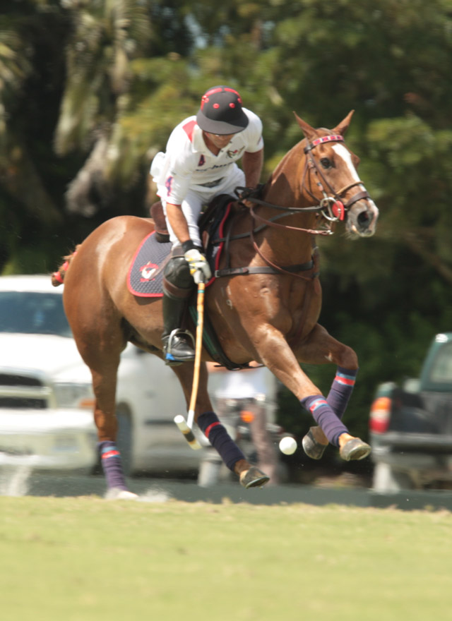 lechuza 2 polomagazine.jpg