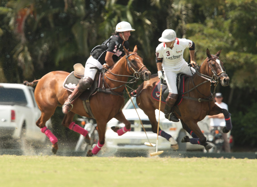 lechuza 5 polomagazine.jpg