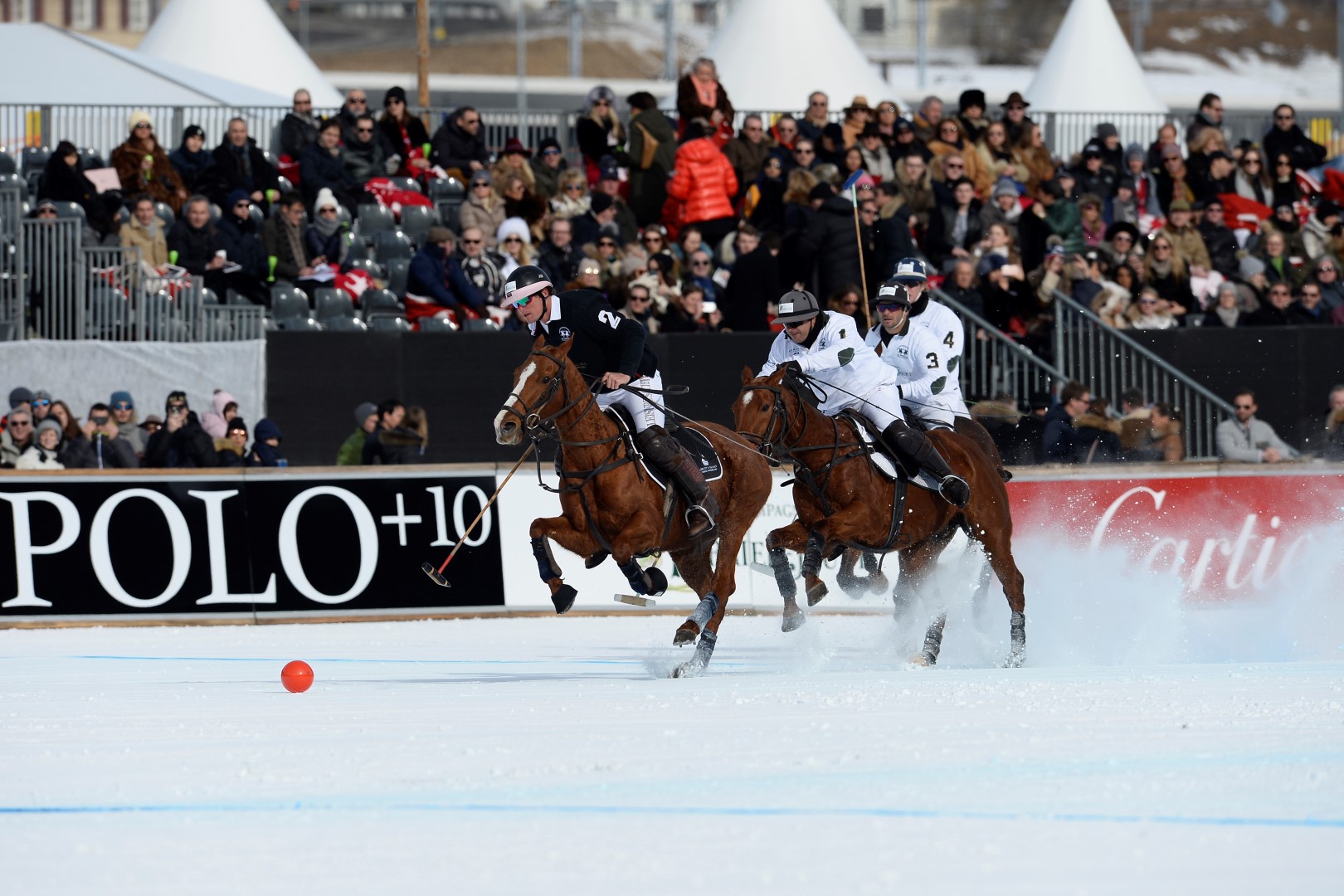 28 01 17-0293 32530224456 o