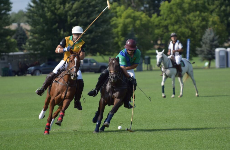 Screen Shot 2017-08-09 at 10.25.20 PM