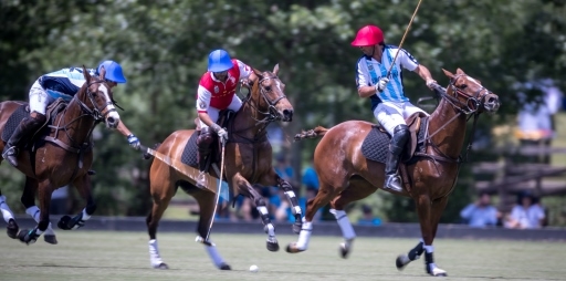 Argentina's second triumph in the FIP World Cup. Segundo triunfo de Argentina en el Mundial FIP