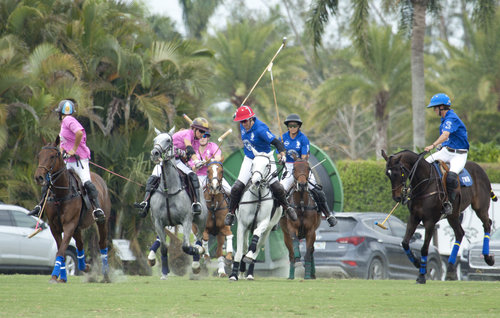 MiaNovilloAstradaofChateauDesclansdefendsSarahW