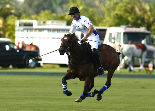 us polo championships ipc polo florida polo magazine valiente coca cola 6