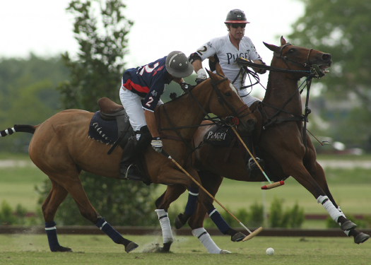 polophotopalmcitypoloclubpolomag 2